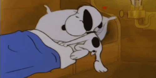 Dog sleep