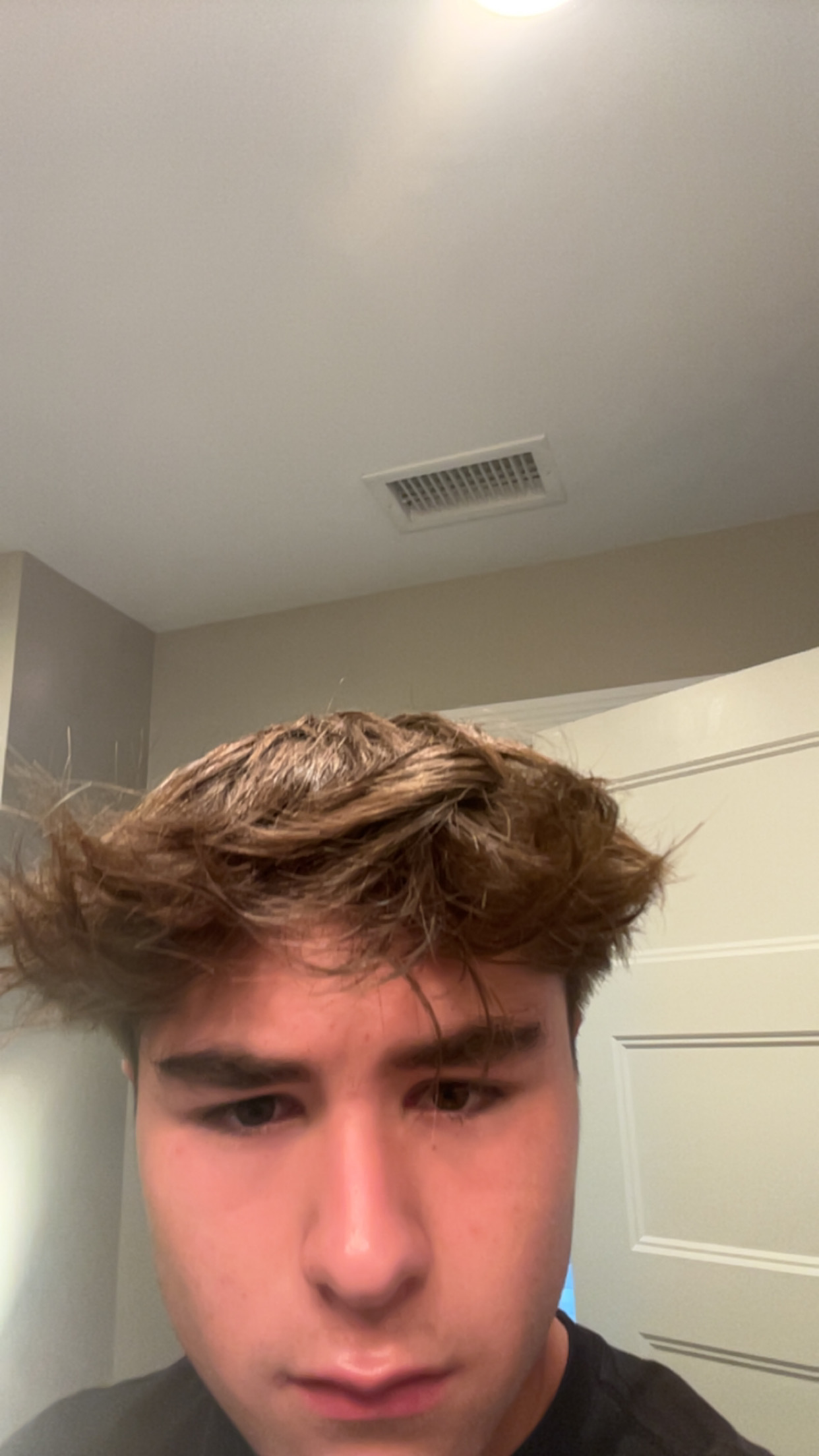 IMG 1227