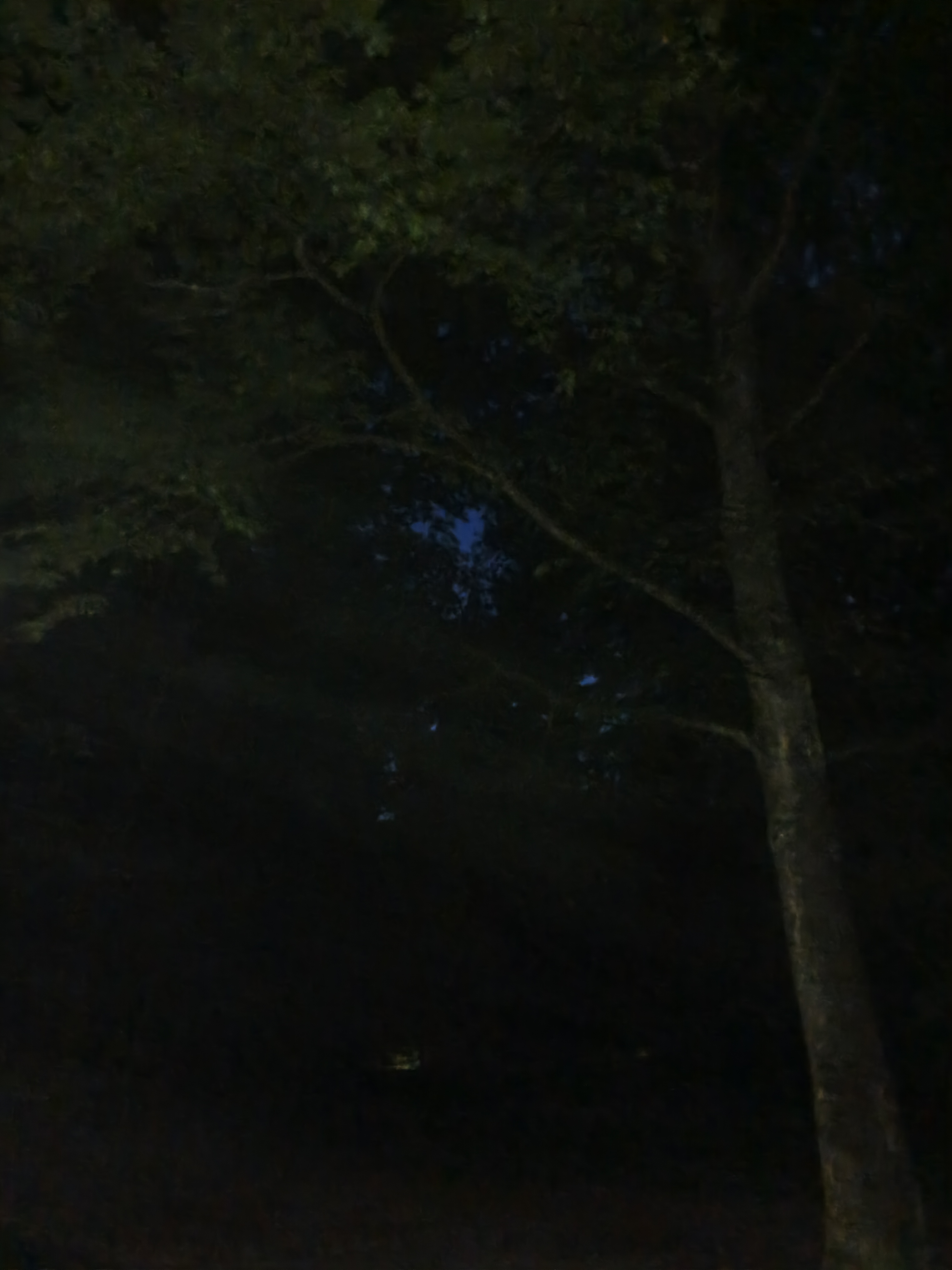 IMG 20260908 204315 216
