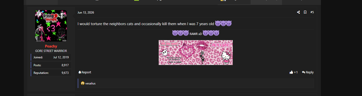 Screenshot 2026 09 17 230123