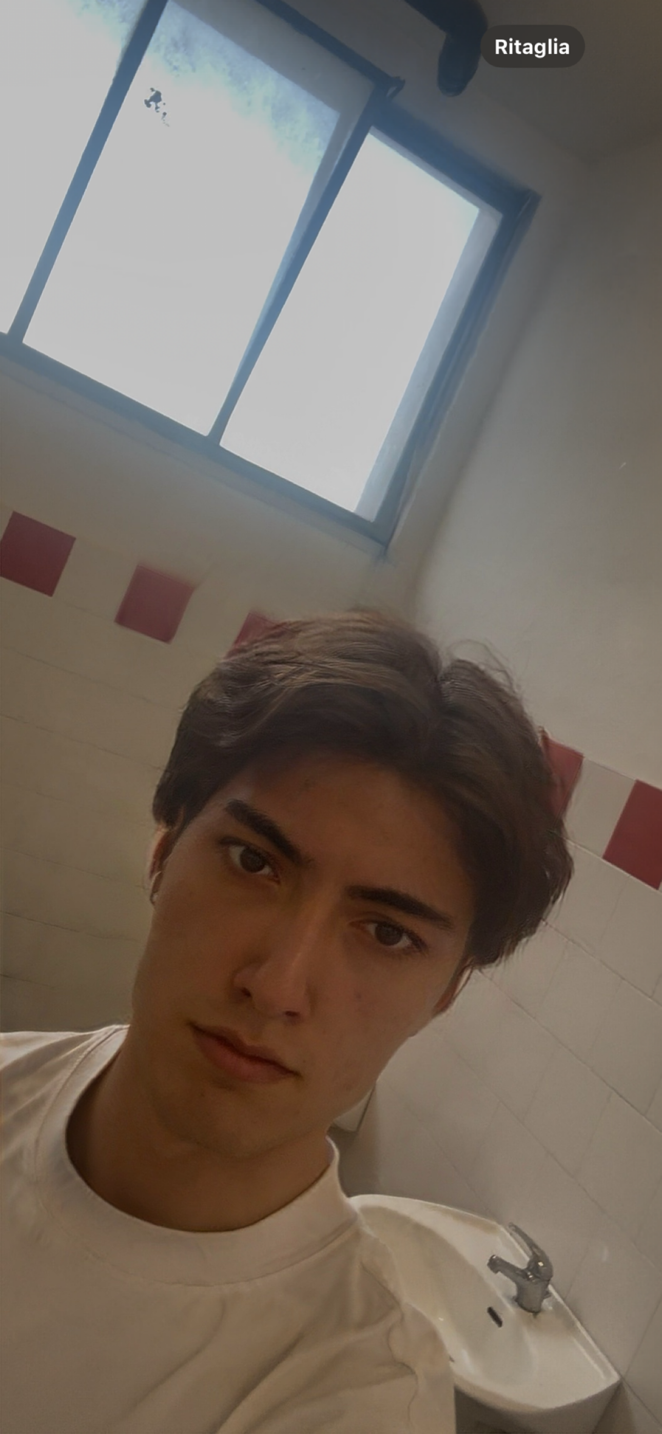 IMG 8448