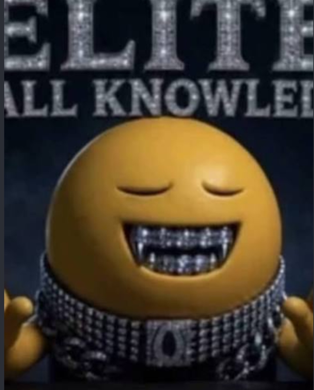 1000049513