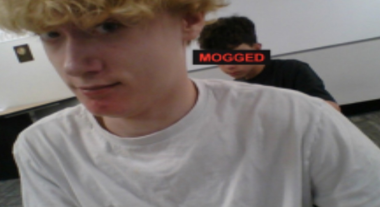 IMG 2549