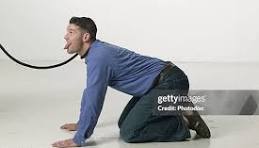 Man On Leash Acting Doglike High-Res Stock Photo