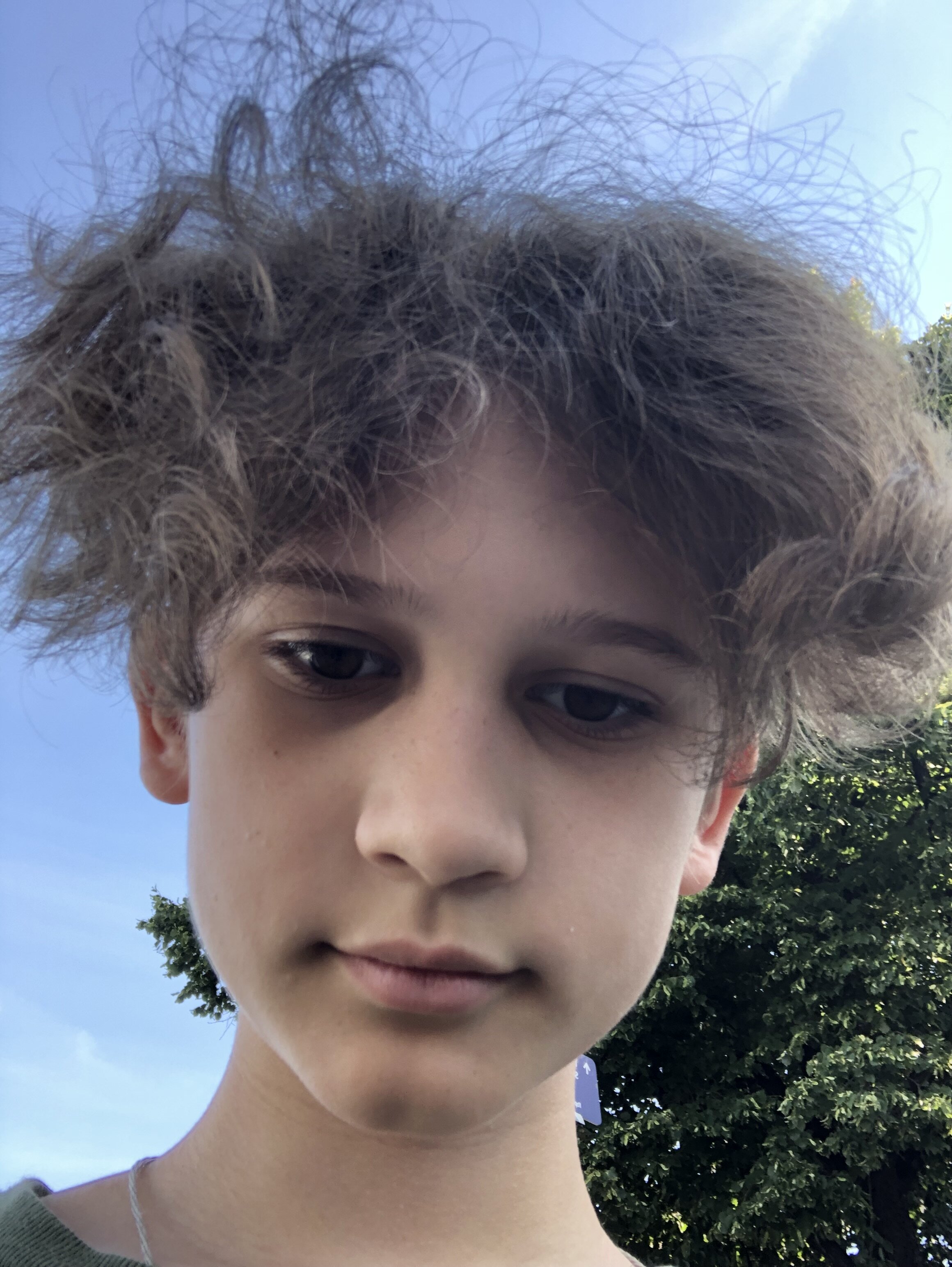 IMG 3965