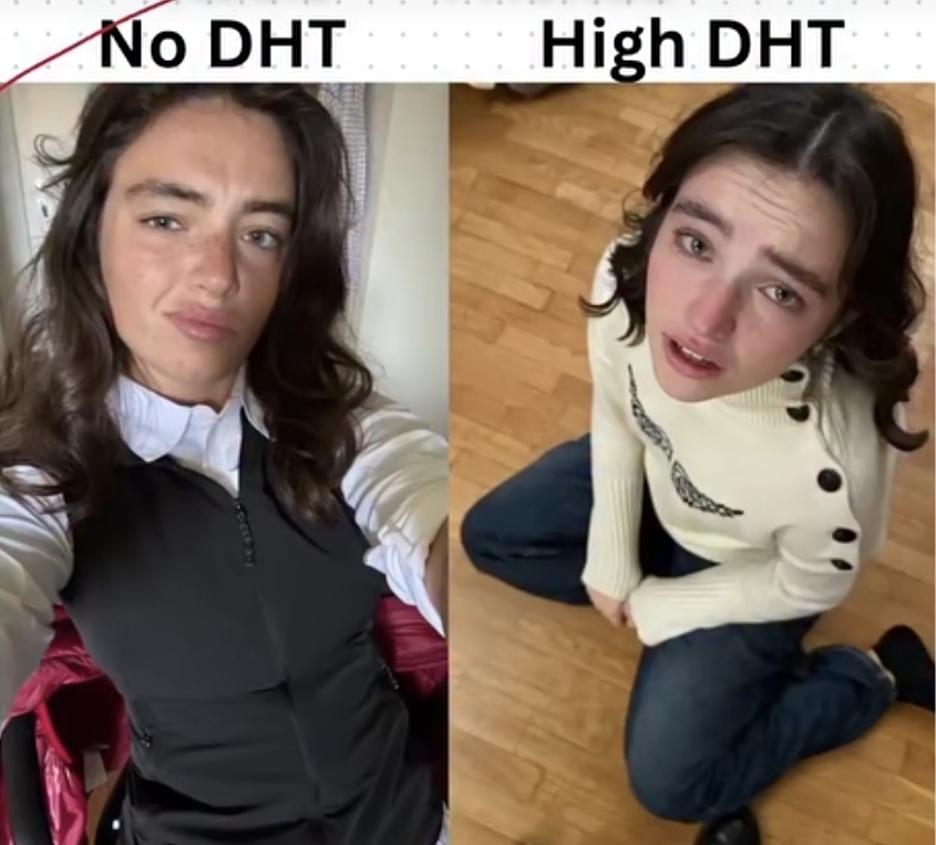 44582
