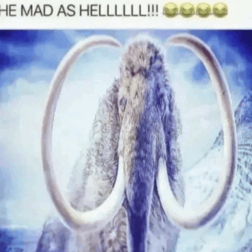 He mad as hell he mad asf