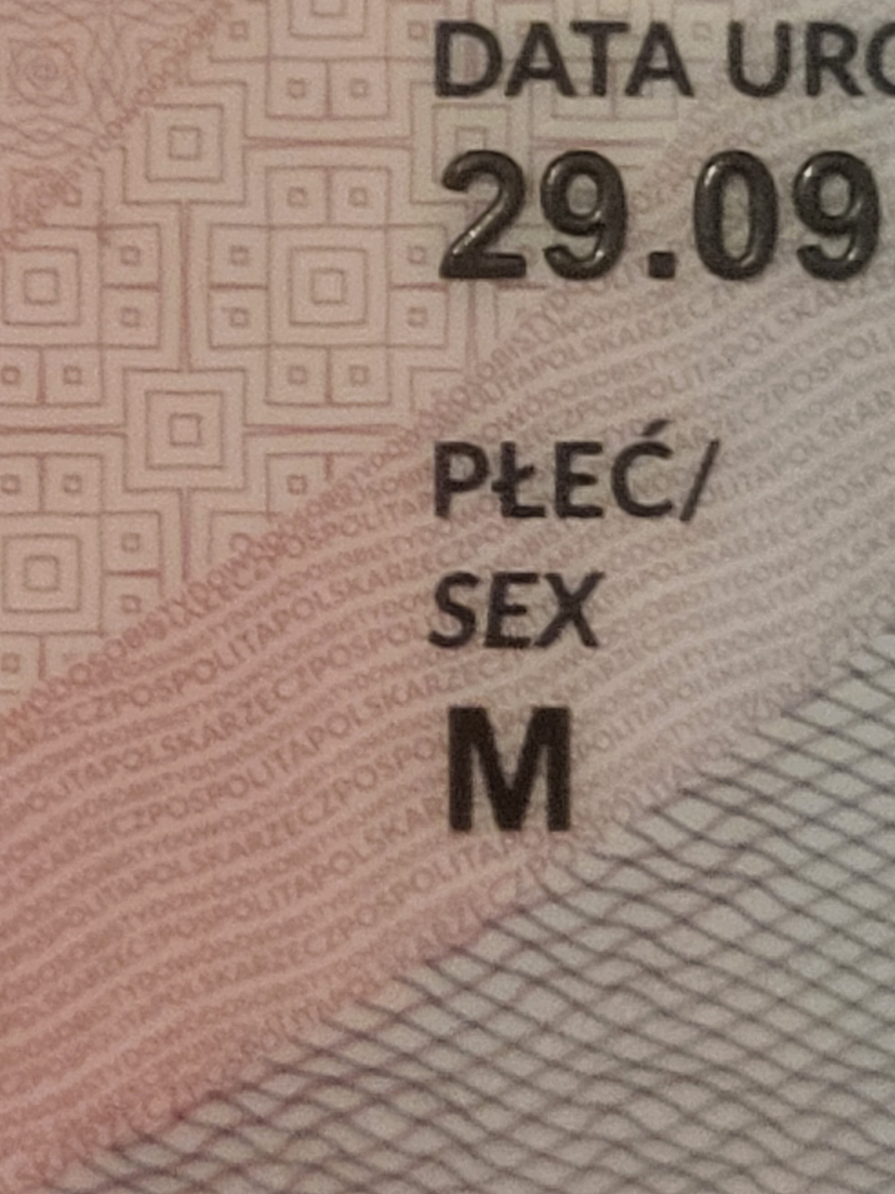 1000006413