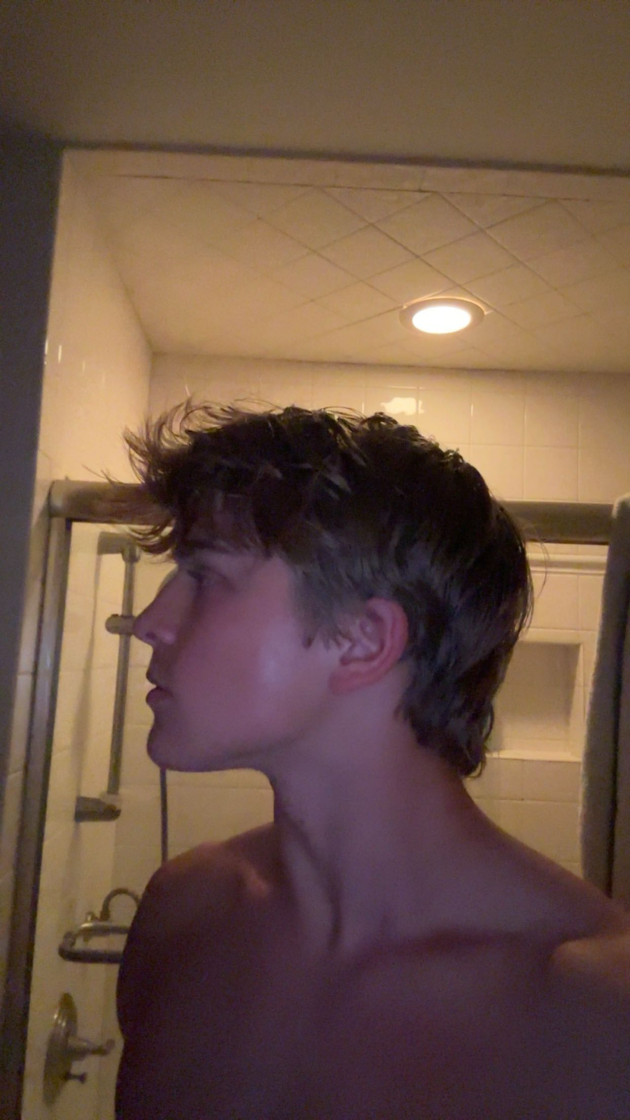 IMG 9501