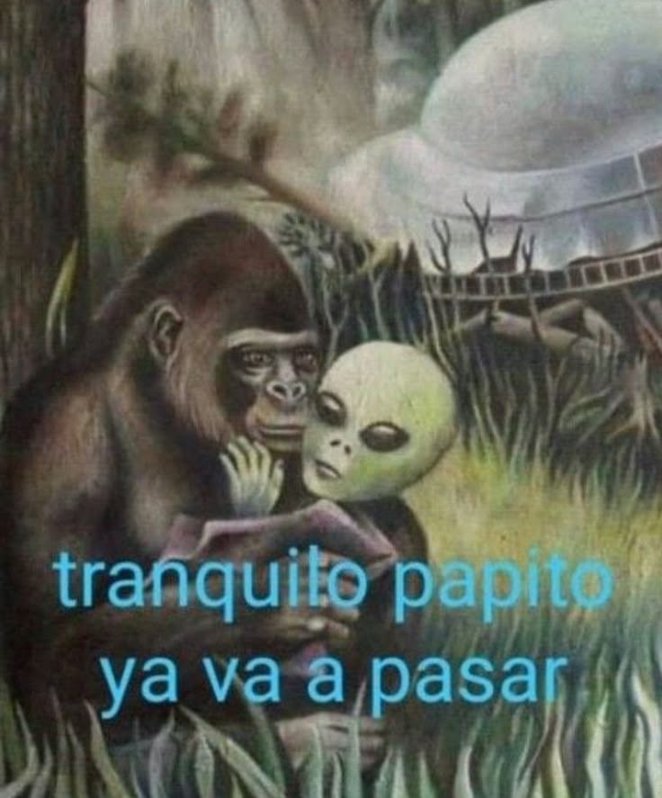 Tranquilo papito