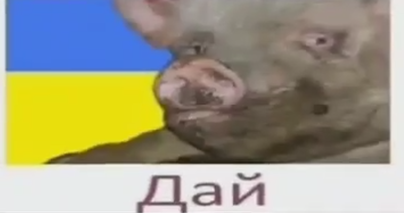 2025 12 31 01 22 49