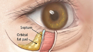 1786979580733