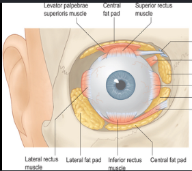 1786979694578
