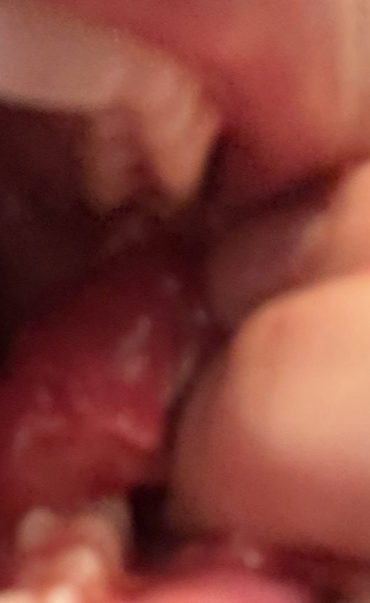 IMG 7623
