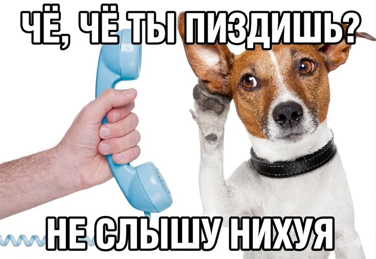 6343