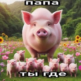 6346