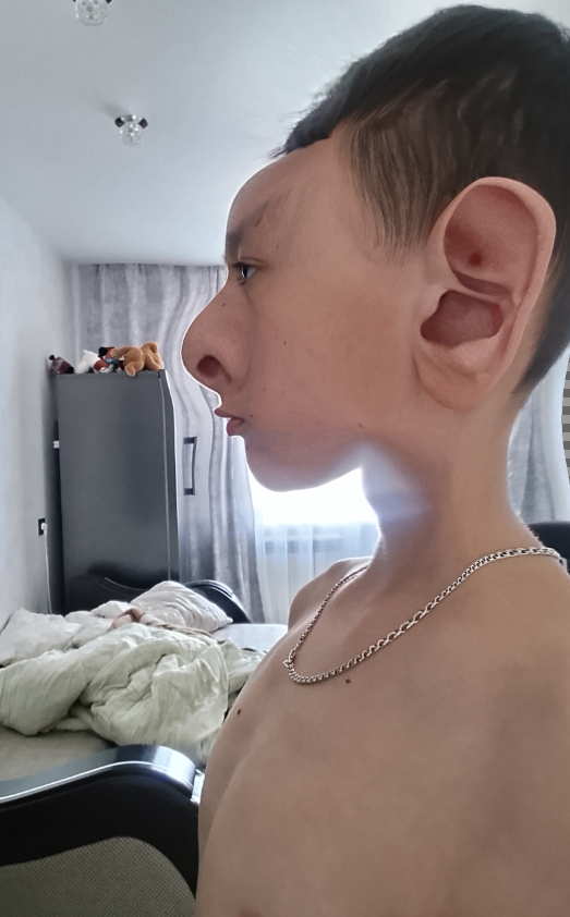 1790008813247