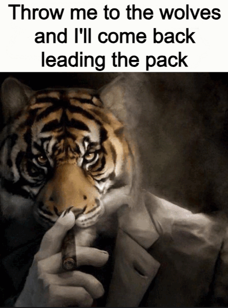 Tigor4