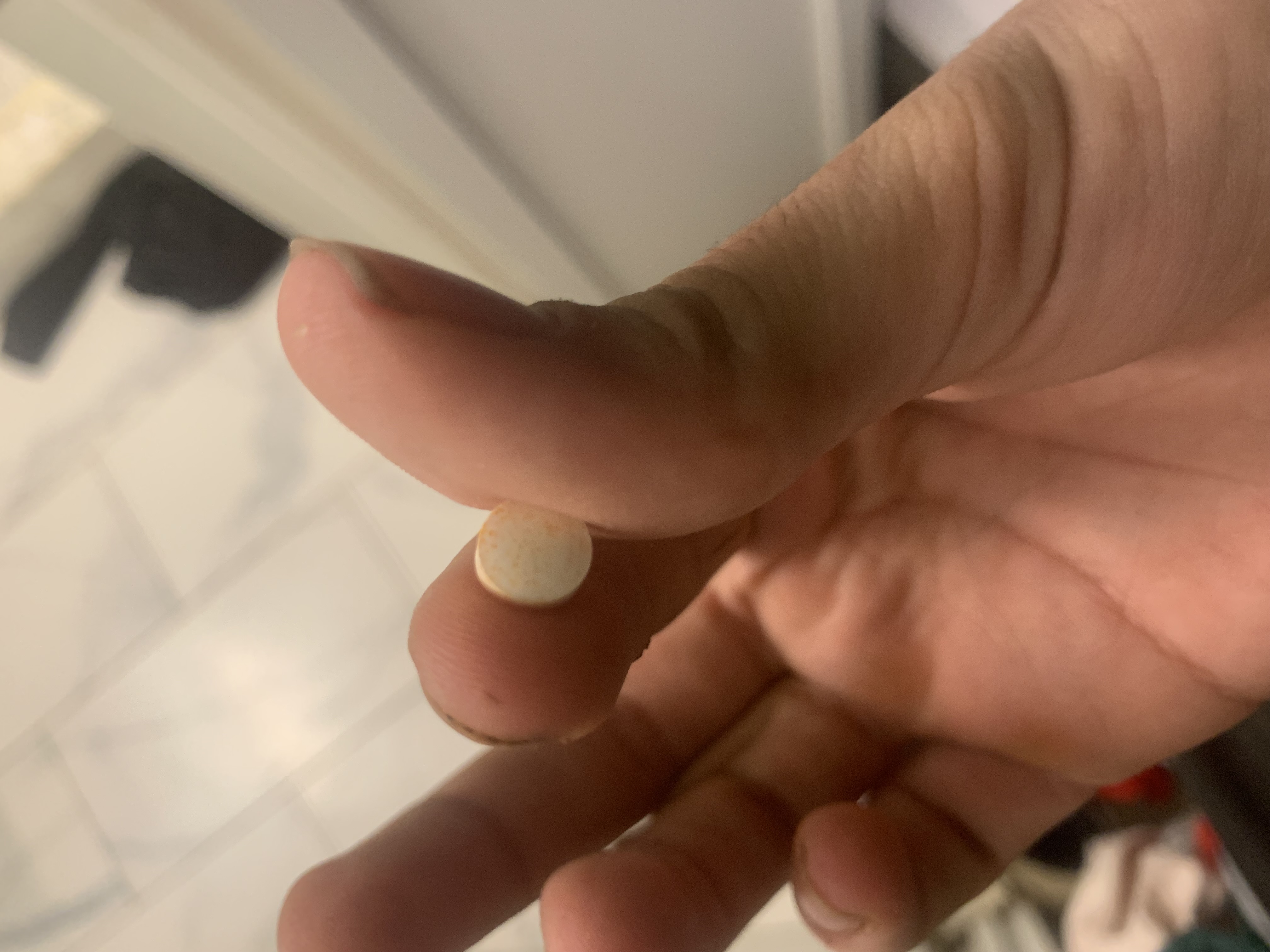 IMG 5085