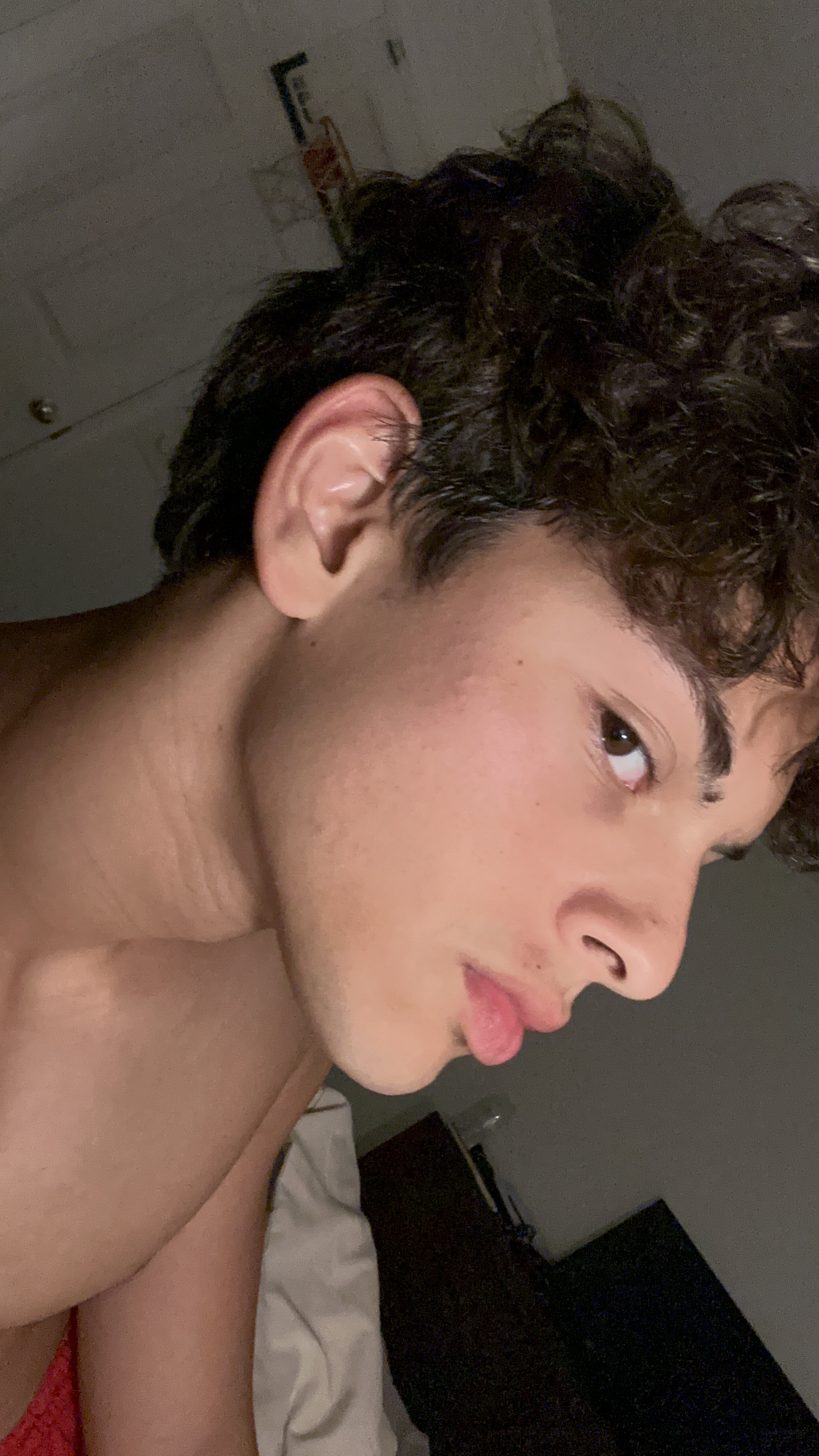 IMG 3323