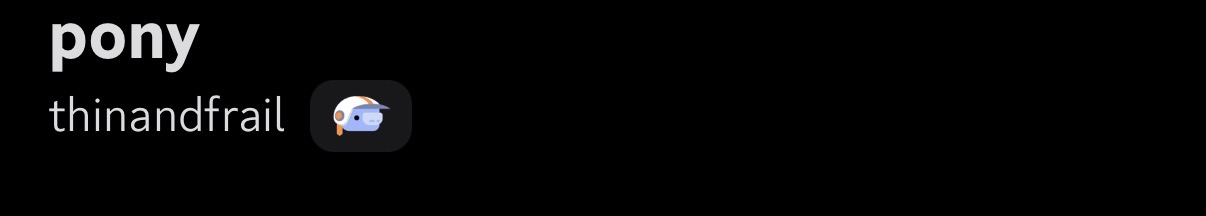 IMG 3036
