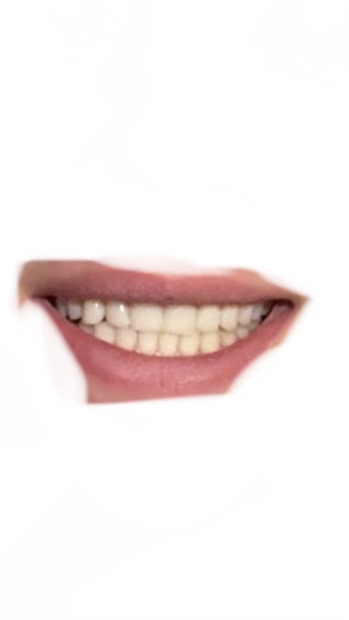 IMG 2750
