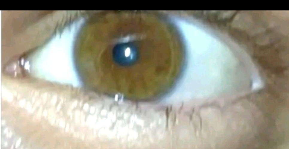 IMG 20260922 183403