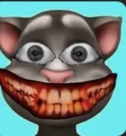 IMG 2566