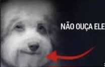 1000184313
