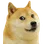 1000083355
