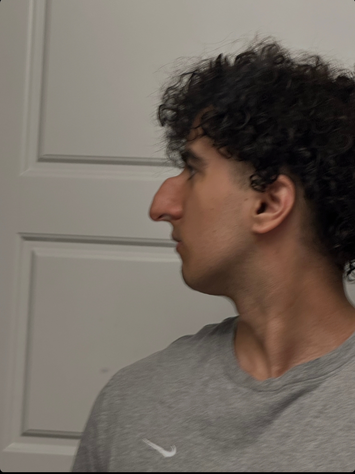 IMG 2458