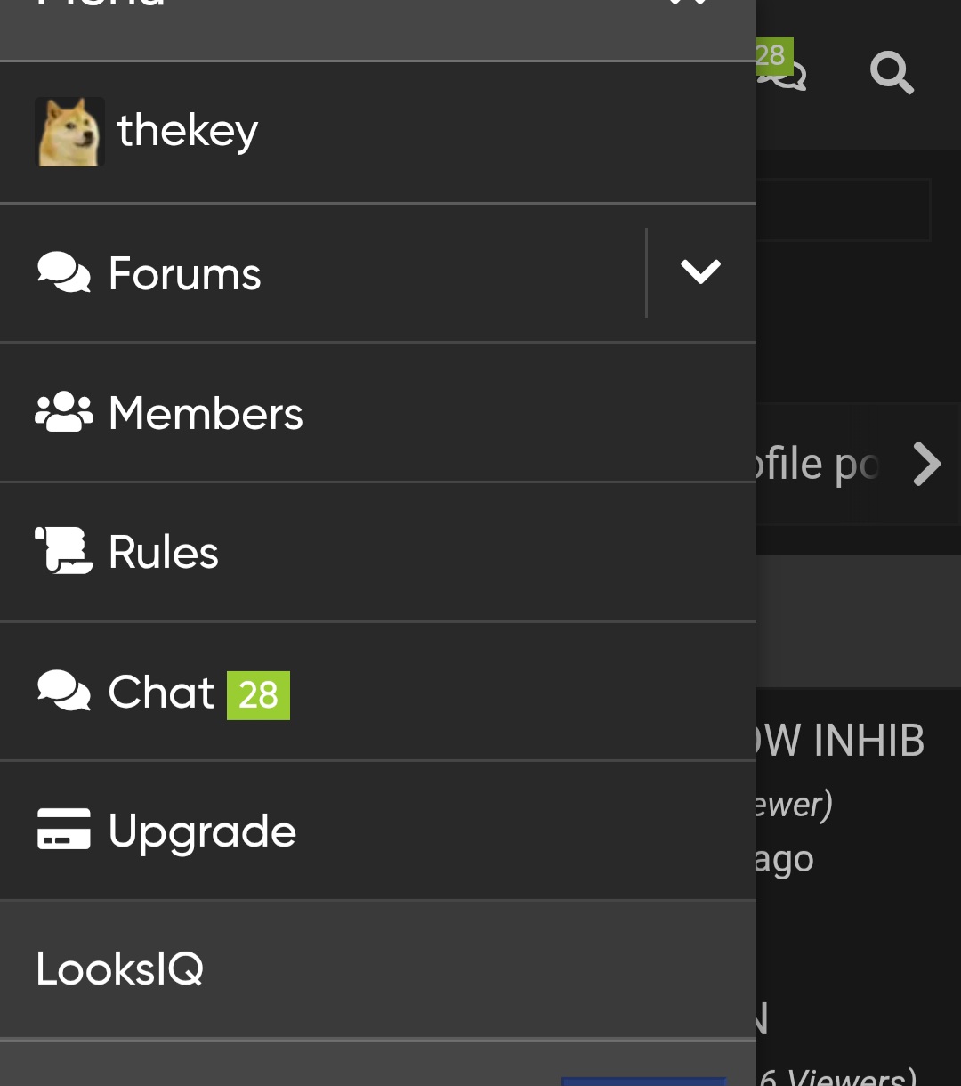 1000083381