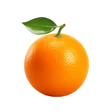 IMG 3546