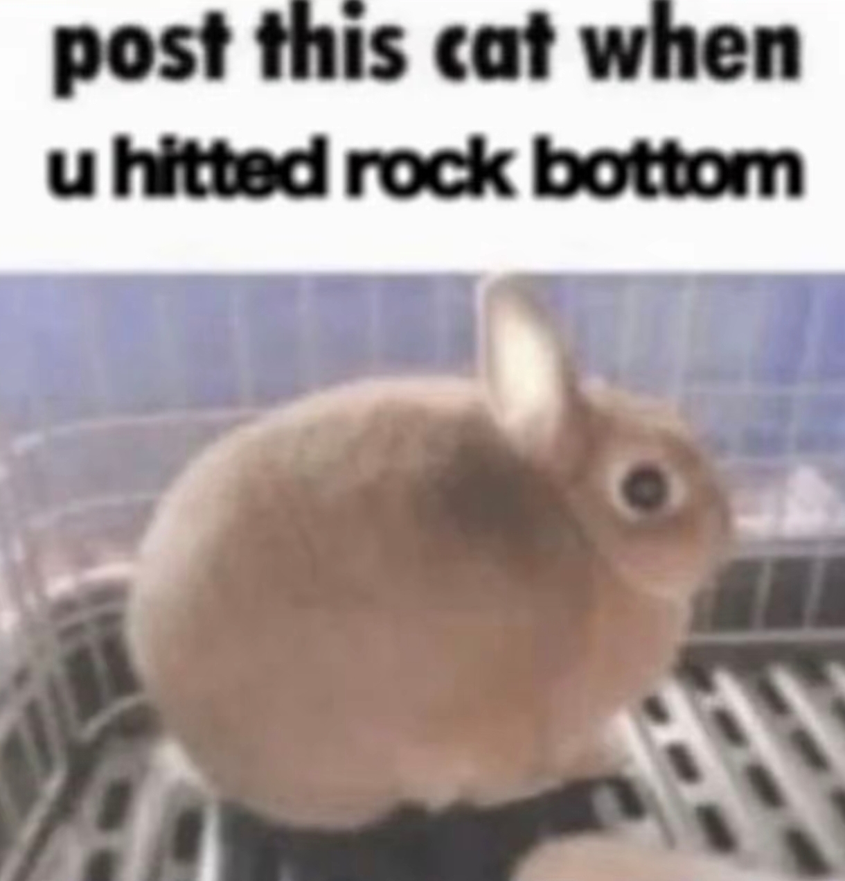 68015