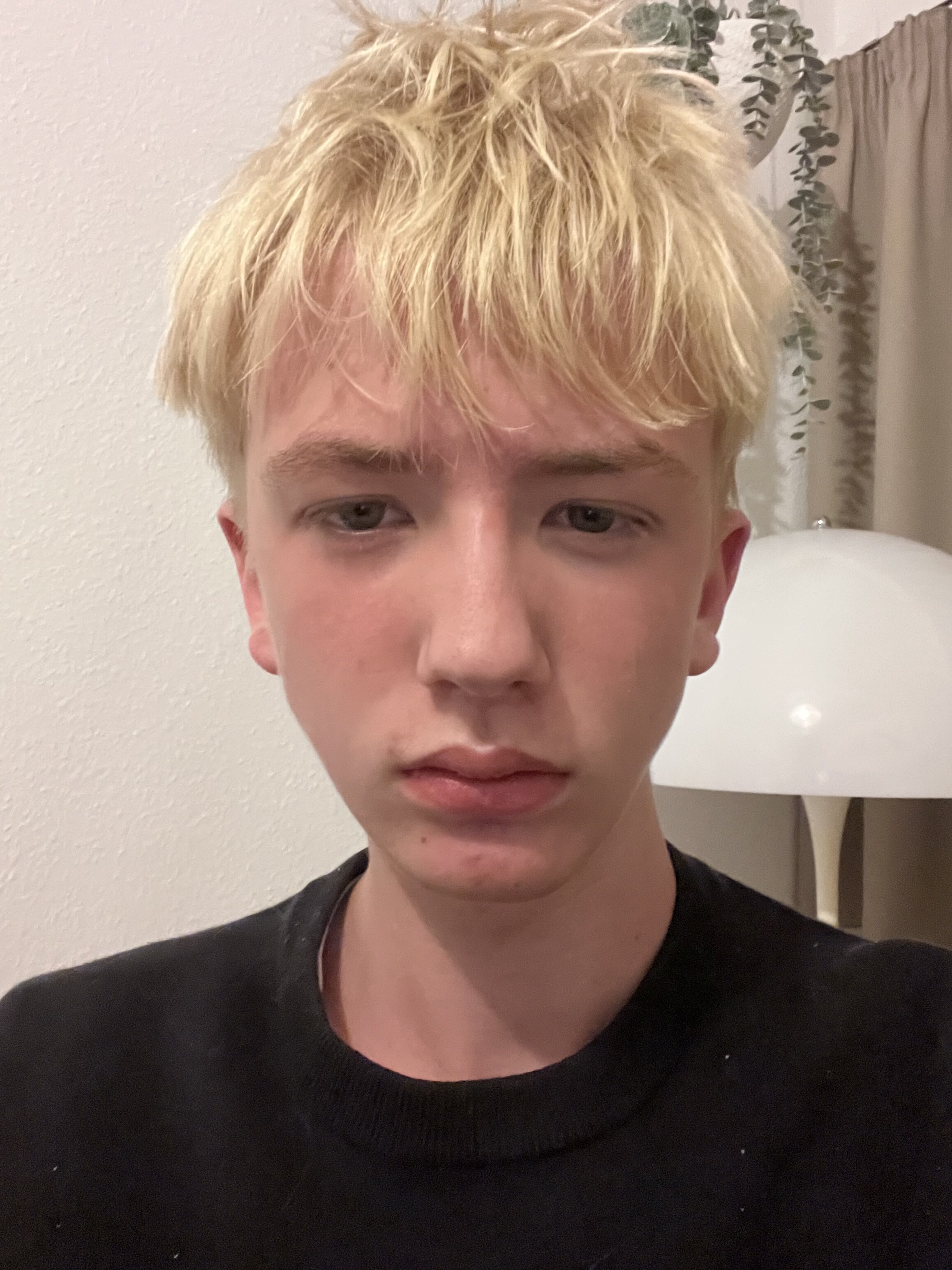 IMG 3469