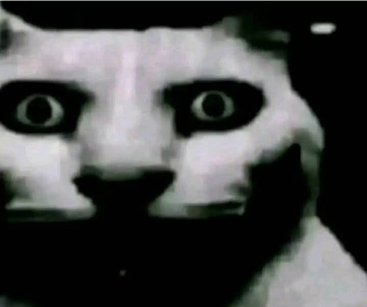 Bb0a40a5319a236b28ab90387a5687ad