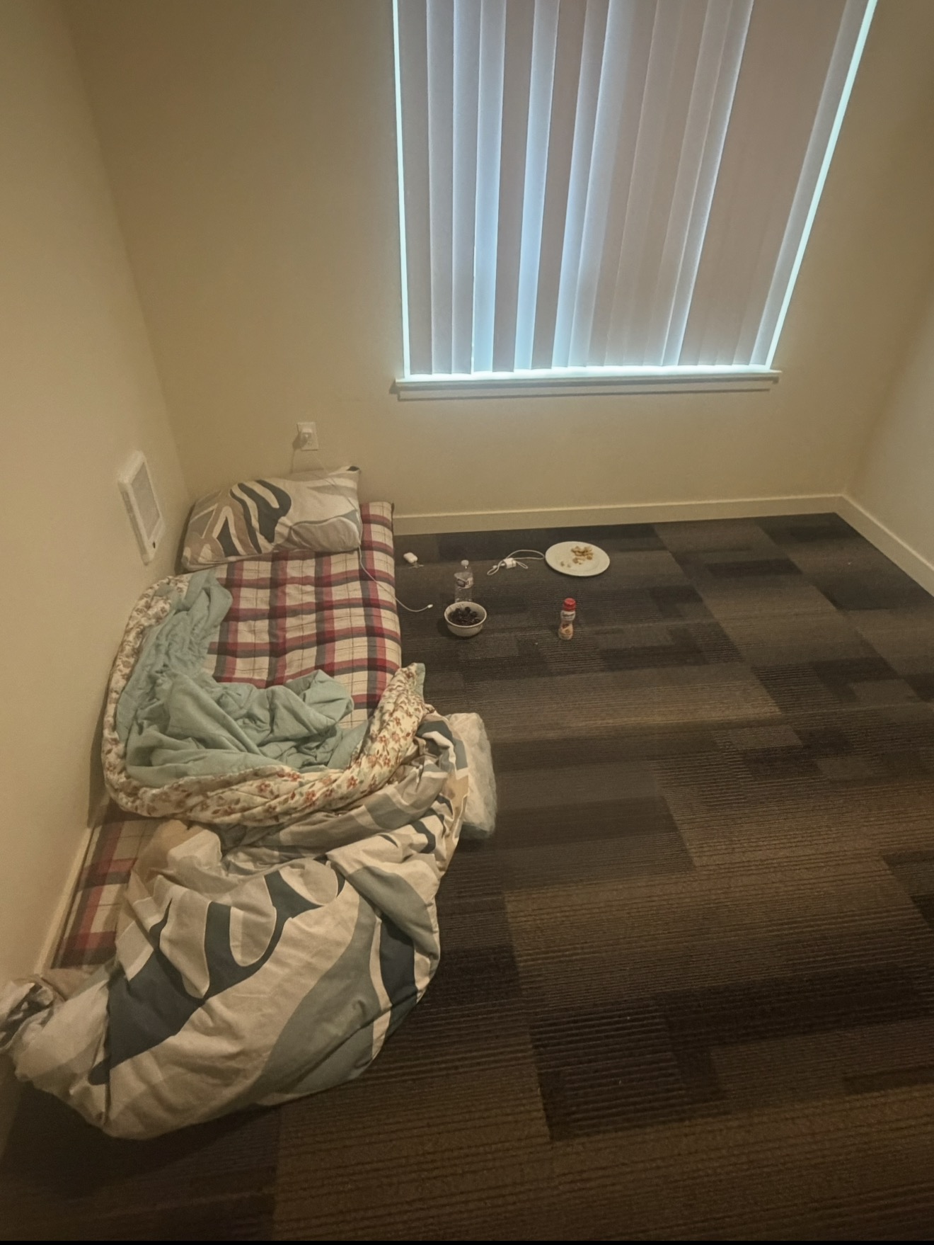 IMG 7518