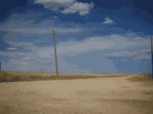 Desert tumbleweed