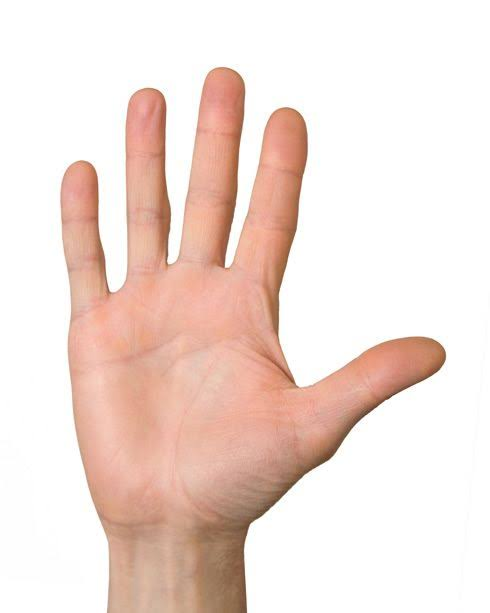 1790392636161