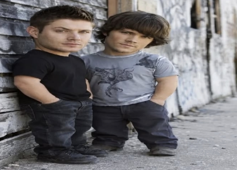 6444