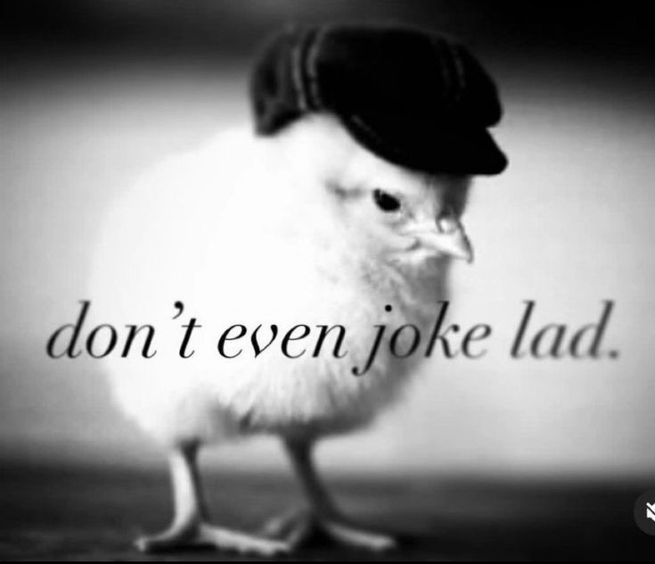 4768