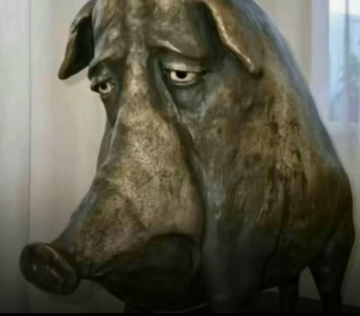 4776