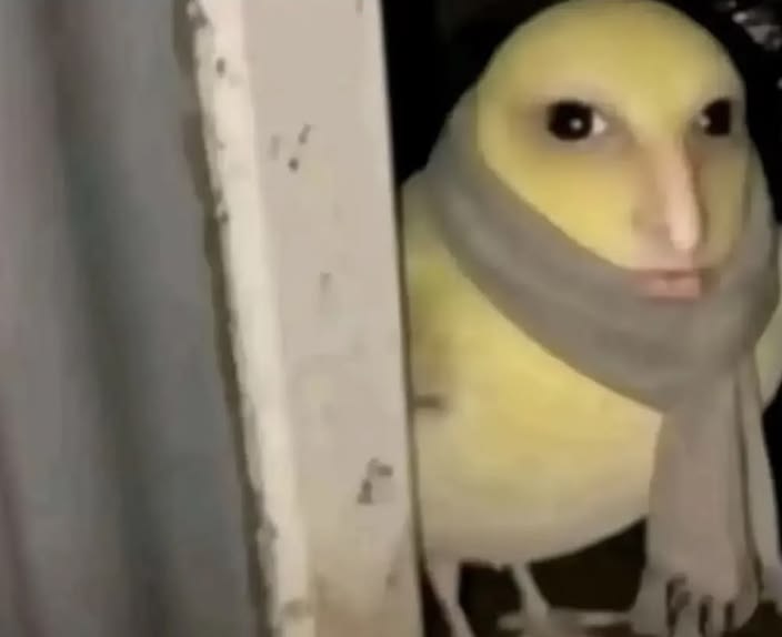 4775