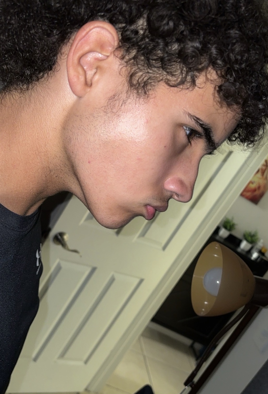 IMG 8009