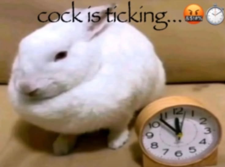 71262