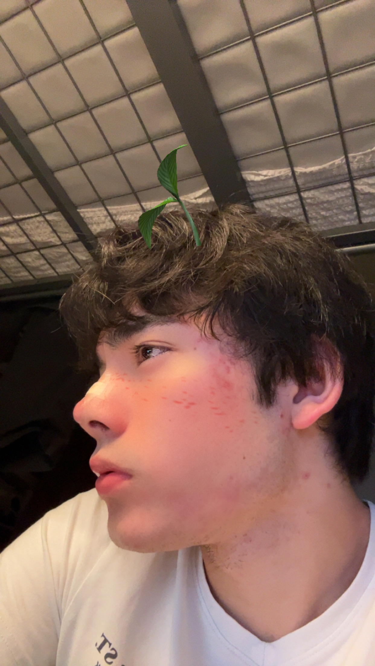 IMG 3364