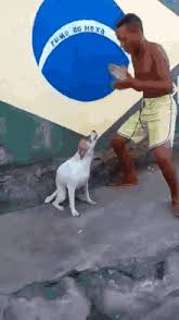 Images
