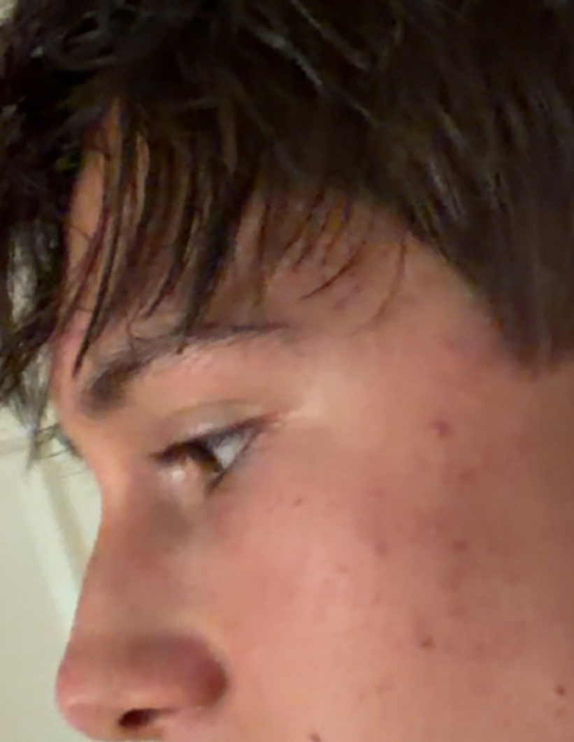 IMG 7486