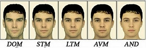 2987204 1504499343189 1