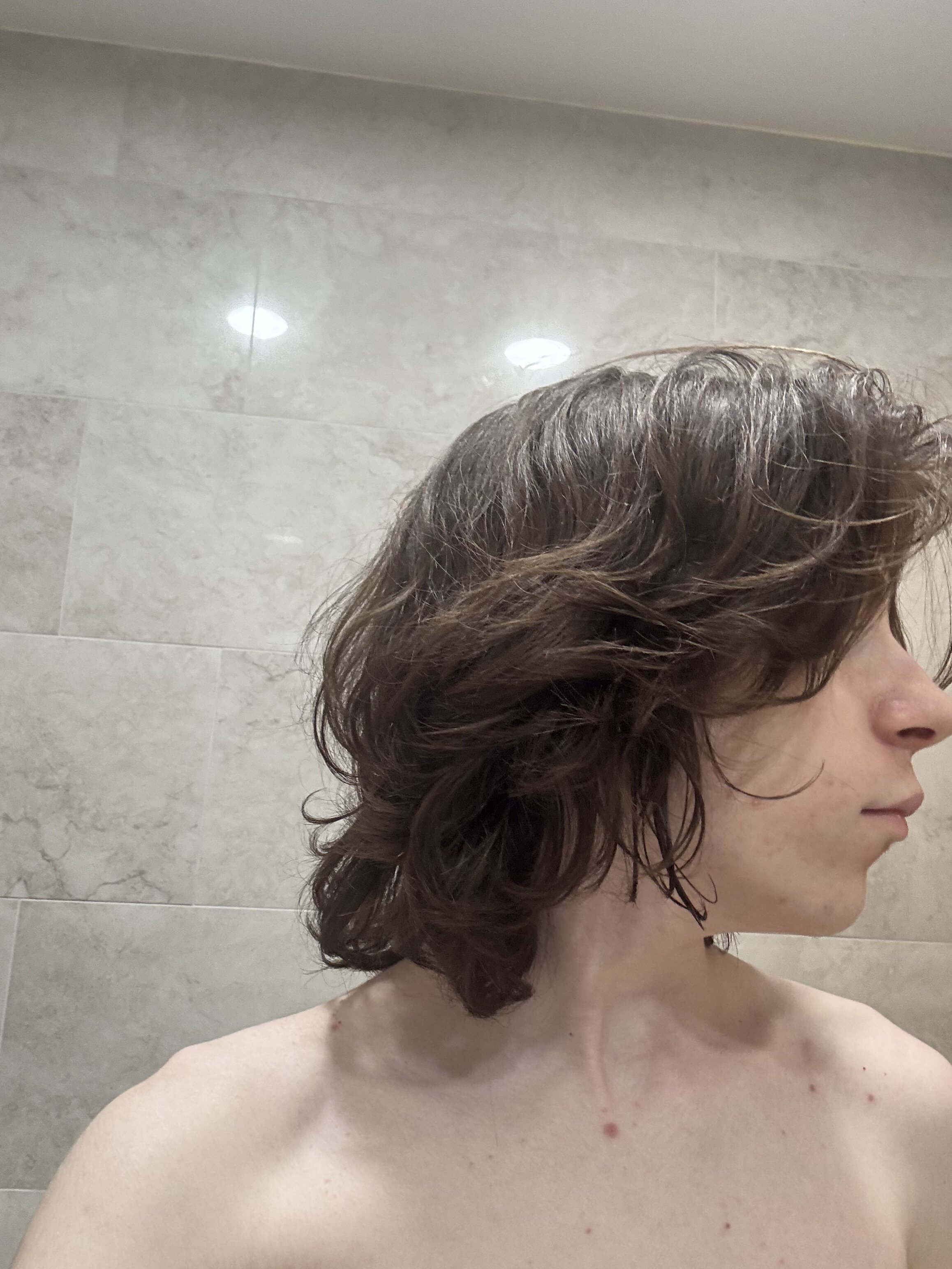 IMG 4624